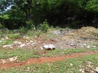 Residential lot For Sale in Clarendon, Manchester, Jamaica