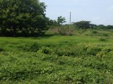 Residential lot For Sale in Black River, St. Elizabeth Jamaica | [5]