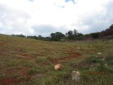 Residential lot For Sale in Malvern, St. Elizabeth Jamaica | [8]