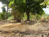 Residential lot For Sale in Grange Hill aka Long Road, Portland Jamaica | [7]