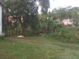 Residential lot For Sale in Mandeville, Manchester Jamaica | [6]