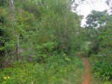 Commercial/farm land For Sale in Aboukir, St. Ann Jamaica | [1]