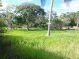 Residential lot For Sale in Rose Hill, Manchester Jamaica | [6]