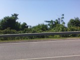 Commercial/farm land For Sale in LUCEA, Hanover Jamaica | [10]