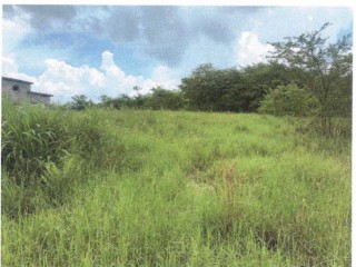 Land For Sale in Palmbrook Estate Lacovia, St. Elizabeth Jamaica | [1]