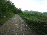 Residential lot For Sale in copse, Hanover Jamaica | [3]