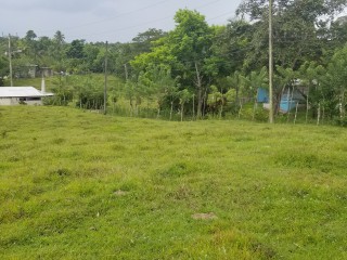 Residential lot For Sale in Seaford TownGerman Town, Westmoreland Jamaica | [2]