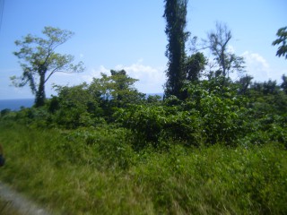 Residential lot For Sale in Orange Bay, Portland Jamaica | [5]