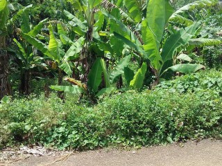 Residential lot For Sale in Duanvale Trelawny, Trelawny Jamaica | [1]