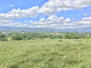 Residential lot For Sale in Linstead, St. Catherine Jamaica | [4]