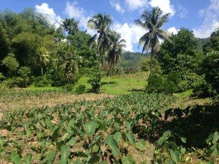 Commercial/farm land For Sale in Port Antonio, Portland Jamaica | [14]