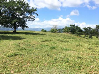 Residential lot For Sale in Linstead, St. Catherine Jamaica | [6]