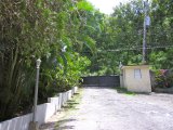 Townhouse For Rent in Lethe, St. James Jamaica | [13]