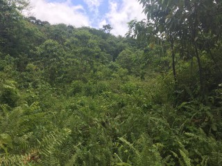 Residential lot For Sale in Port Antonio, Portland Jamaica | [5]