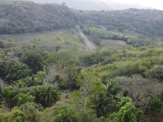 Land For Sale in Retreat, Clarendon, Jamaica