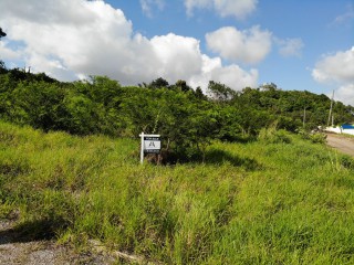 Residential lot For Sale in Mandeville, Manchester Jamaica | [4]