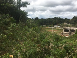 Residential lot For Sale in Albion Estates, Manchester Jamaica | [2]