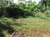 Residential lot For Sale in Hatfield, Manchester Jamaica | [5]