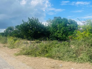 Residential lot For Sale in May Pen, Clarendon Jamaica | [3]