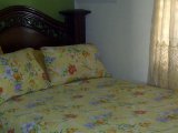 Apartment For Rent in Hope Road and Halfway Tree Road, Kingston / St. Andrew Jamaica | [4]