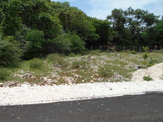 Residential lot For Sale in Clarendon, Manchester, Jamaica