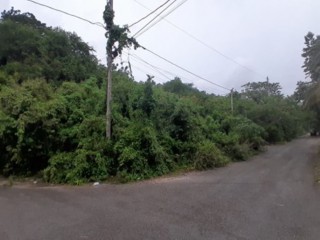 Residential lot For Sale in Negril, Westmoreland, Jamaica