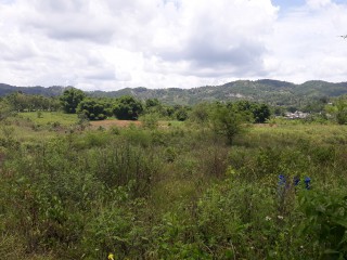 Commercial/farm land For Sale in New Market, St. Elizabeth Jamaica | [1]