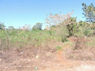 Commercial land For Sale in Spanish Town Lewis Villa, St. Catherine Jamaica | [1]