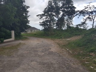 Residential lot For Sale in Red Hills, Kingston / St. Andrew Jamaica | [6]