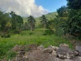 Commercial/farm land For Sale in Toms Hope, Portland Jamaica | [2]