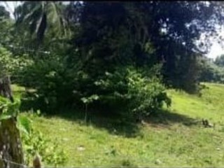 Land For Sale in Unity Wakefield, Trelawny Jamaica | [2]