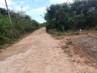 Residential lot For Sale in Watson Hill, St. Elizabeth Jamaica | [2]