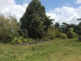 Residential lot For Sale in Mandeville, Manchester Jamaica | [3]