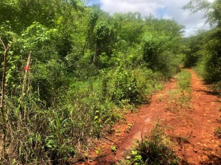 Commercial/farm land For Sale in Bannister Old Harbour, St. Catherine, Jamaica