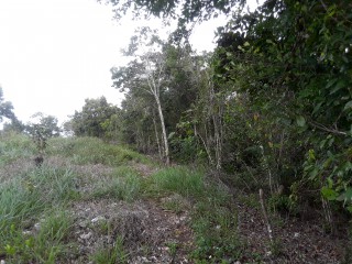 Residential lot For Sale in Cross Keys Manchester, Manchester Jamaica | [3]