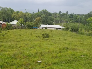 Residential lot For Sale in Seaford TownGerman Town, Westmoreland Jamaica | [3]