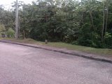 Residential lot For Sale in Moorlands Estate Mandeville, Manchester Jamaica | [3]