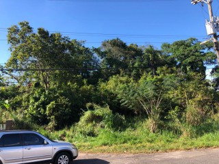 Residential lot For Sale in Mandeville, Manchester Jamaica | [2]