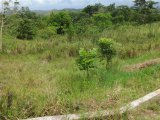 Residential lot For Sale in Lydford, St. Ann Jamaica | [6]