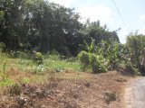 Residential lot For Sale in NEW GREEN, Manchester Jamaica | [4]