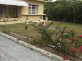 House For Rent in HAVENDALE, Kingston / St. Andrew Jamaica | [14]