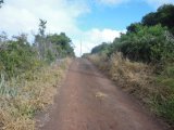 Residential lot For Sale in Rose Hill, Manchester Jamaica | [12]