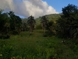 Commercial/farm land For Sale in Toms Hope, Portland Jamaica | [1]