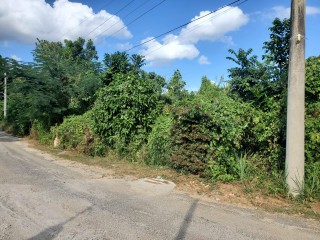 Commercial/farm land For Sale in Orangefield Ewarton, St. Catherine Jamaica | [1]