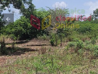 Residential lot For Sale in Nain, St. Elizabeth Jamaica | [2]