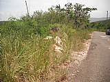 Residential lot For Sale in Smokey Vale, Kingston / St. Andrew Jamaica | [4]