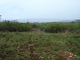 Commercial/farm land For Sale in Pedro Plains close to Treasure Beach, St. Elizabeth Jamaica | [9]