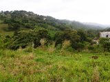 Residential lot For Sale in Bamboo, St. Ann Jamaica | [5]