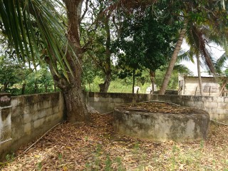 House For Sale In Burnt Savannah, St. Elizabeth Jamaica 