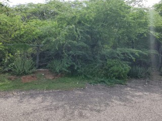 Residential lot For Sale in Great Bay, St. Elizabeth, Jamaica